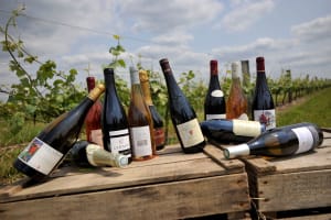 Loire Valley Wine Tour Full Day Trip from Tours (private) 4