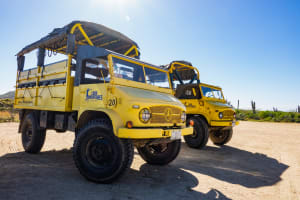 Outback and Camel Ride Safari 3
