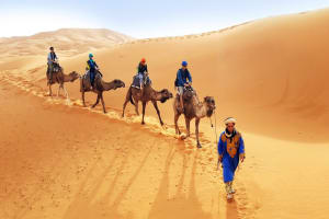 A camel Caravan in the Merzouga desert.