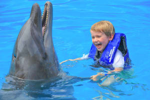 Swim with the Dolphins in Puerto Vallarta 4