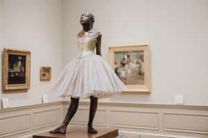 Private Met Express: Highlights of the Metropolitan Museum of Art  4