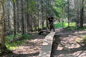 Anchorage Singletrack Sampler MTB Tour - Private 4