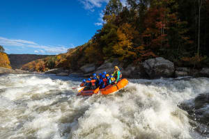 Upper Gauley Whitewater Rafting Trip - New River Gorge, WV 4