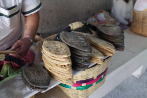 Xochimilco Farm Feast: Urban Oasis’s Canals and Gardens 4
