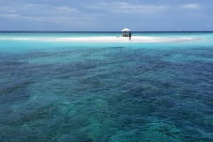 4-Night Maldives Guided Local Experience from Male' Airport 4