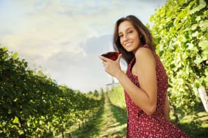 Half Day Paso Robles Wine Tasting Tour 3