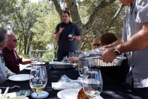 Paso Robles Wine Adventure  3