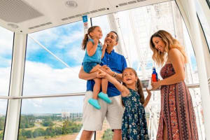 2 or 3-Attraction Pass: Wheel at ICON Park, Madame Tussauds & SeaLife Aquarium 3