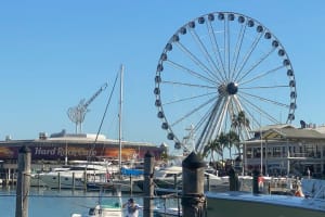 Miami: 90-Minute Skyline & South Beach Millionaire Homes Cruise & Hard Rock Meal 3