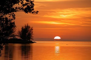 Key West Sightseeing Day Trip from Miami 3