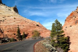 Small-Group Zion National Park Day Tour from Las Vegas 3