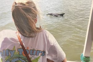 Savannah to Tybee Island with Dolphin Cruise 3