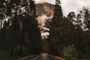 West Coast USA 11 Day Adventure: Nature & Cities  3