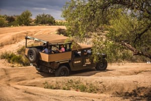 Sonoran Desert H1 Hummer Adventure  3