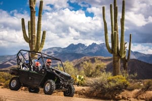 Sonoran Desert 2 Hours Guided UTV Adventure 3