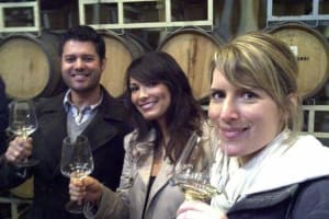 Three Vineyard Winery Small Group tour in Penedes Region from Barcelona 3