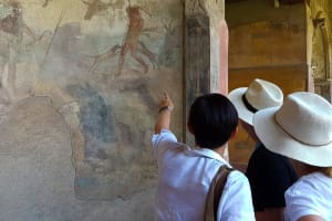 Private Transfer from Naples to Sorrento with Guided tour in Pompeii 4
