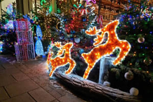 Christmas Lights Bike Tour of London 3