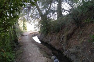 Acequia Real: A hike through the Alhambra’s natural environment 3