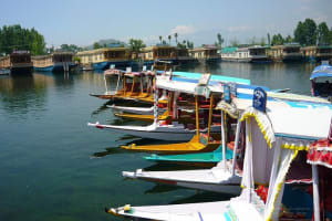 Highlights of Kashmir Tour 5 Nights /6 Days  3