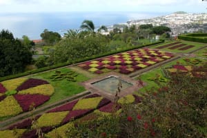 Botanic Garden (price per tukxi - up to 3 people) 3