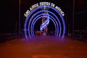 Christmas Lights Tukxi Tour (price per tukxi - up to 5 people) 3