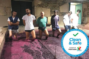 Douro Valley Premium Private 4