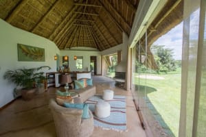 3-Day Luxury Rhino Safari at Solio Ranch & Aberdare National Park  3