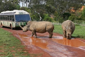 The Ultimate Melbourne Attractions Pass 4