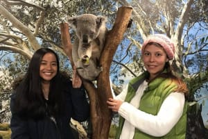 The Ultimate Sydney Attractions Pass 3