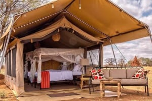 5days Tarangire,Serengeti,ngorongoro Crater and Lake Manyara National park  3