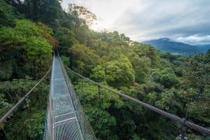 Arenal Hanging Bridges Hiking Private Tour 3