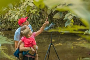 La Fortuna’s Nature and Wildlife in a Single Day 3