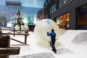 Half Day Private Snow Classic Dubai - Ticket + Transfer 3