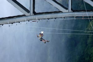Flying Fox 3