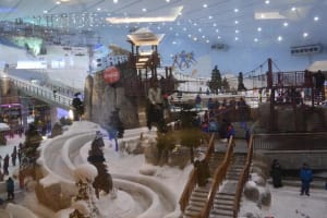 Ski Dubai Snow Park 3