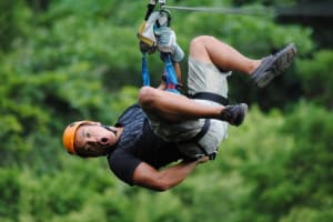 Zip and Dip 3