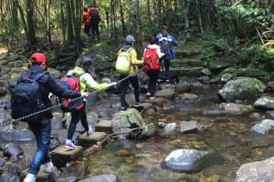 Private Day Trip to Bach Ma National Park from Hue 3