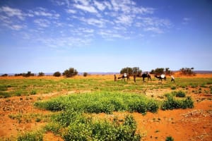 Erg Chigaga Desert Experience 3 days 2 night From Zagora 3