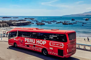 2 Day Tour from Lima: Paracas, Huacachina & Pisco Vineyard 3