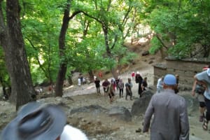 Berber culture day trip in Atlas Mountain, Imlil valley  3