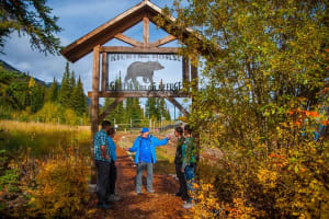 Discover Grizzly Bears from Banff 3