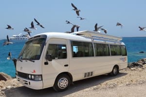 Private One-Way Transfer: Hurghada Airport to El Gouna 3
