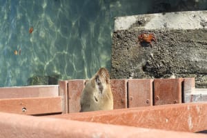 17-Day Hidden Treasure Ecuador & Galapagos 3