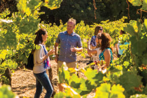 Woods & Wine Tour 4