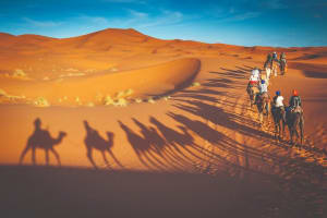 Desert Safari with Barbeque Dinner 3