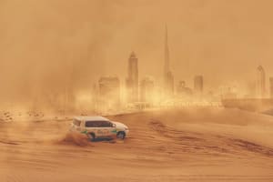 Desert Safari with Barbeque Dinner 4