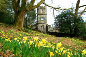 William Wordsworth: Morning Half Day Tour with an Expert Guide 3