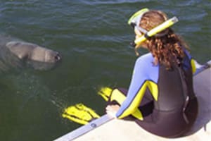 Manatees Swim, Snorkel and Boat Day Tour from Orlando 3