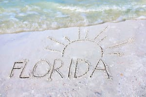 Orlando to Miami Shuttle: One-Way Trip 4